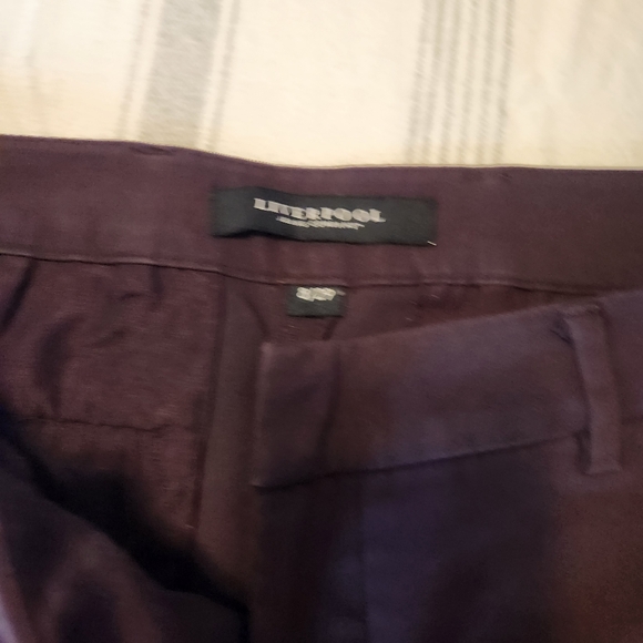 Liverpool Eggplant Ankle Pants - Picture 4 of 4